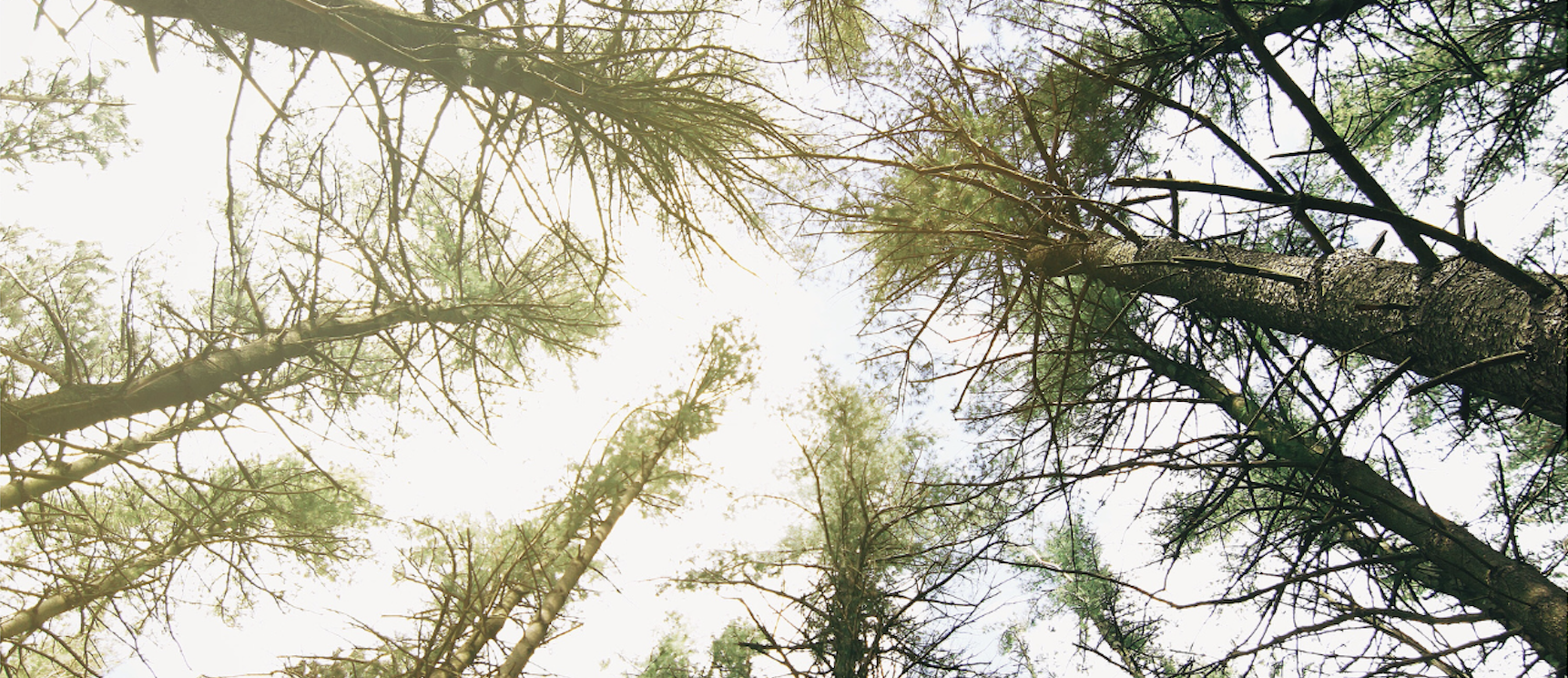 Nature & Health